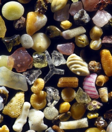 Как выглядит песок под микроскопом?