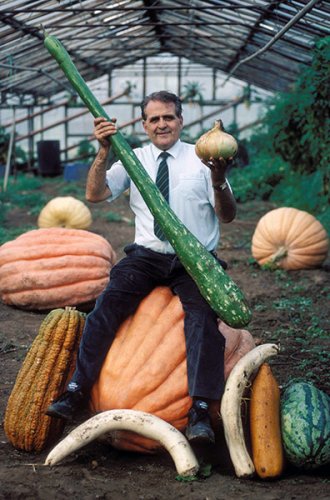 Выставка гигантских овощей