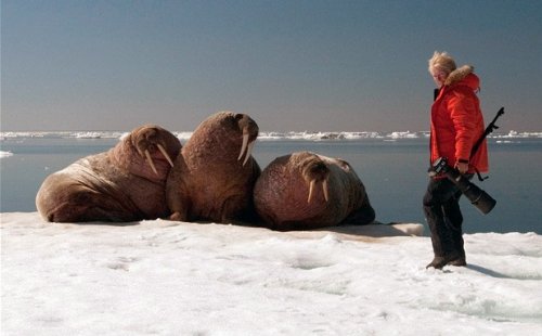 Удивительные арктические фотографии от Луизы Мюррей