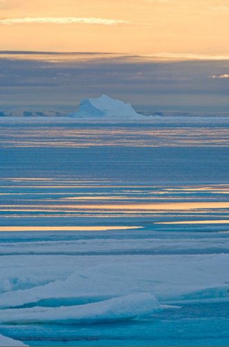 Удивительные арктические фотографии от Луизы Мюррей