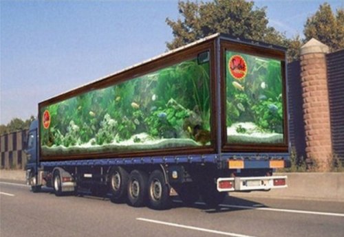 Креативная реклама на грузовиках