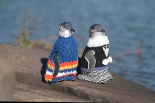 Свитер для пингвина