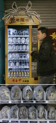 10 невероятных торговых автоматов