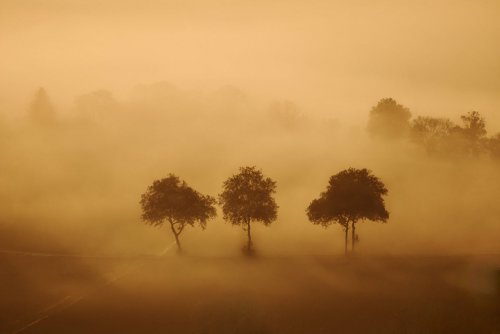 Великолепные фотографии тумана