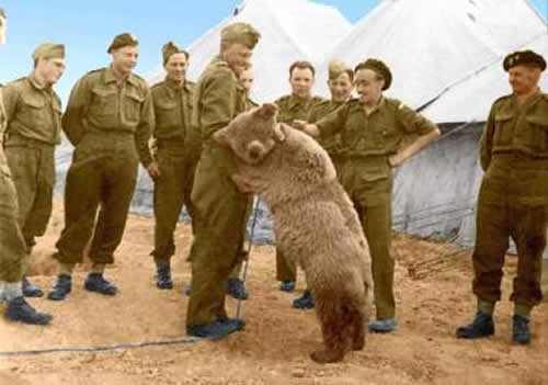 Войтек - медведь-солдат