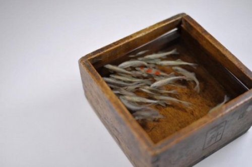 Золотые рыбки от Рюсуке Фукахори