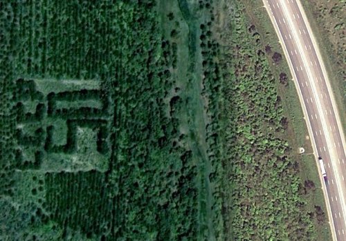 Надписи из деревьев в разных уголках бывшего СССР
