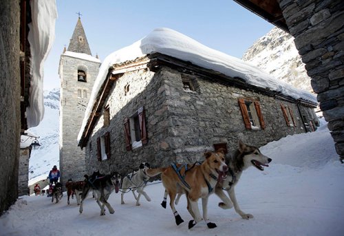 Гонка на собачьих упряжках La Grande Odyss&#233;e Savoie Mont Blanc