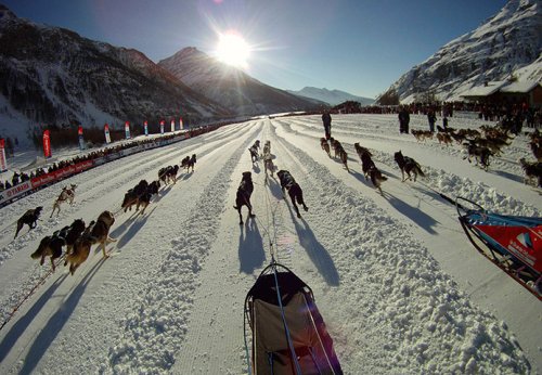 Гонка на собачьих упряжках La Grande Odyss&#233;e Savoie Mont Blanc