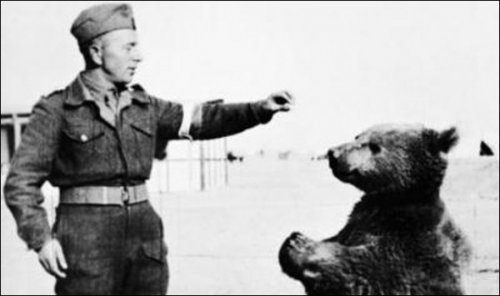 Войтек - медведь-солдат