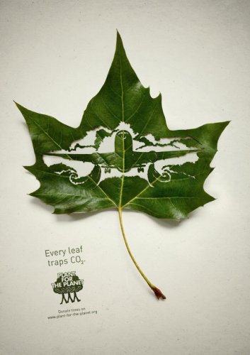 Рекламная кампания "Растения для планеты"