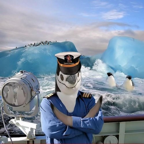 Пингвины правят миром