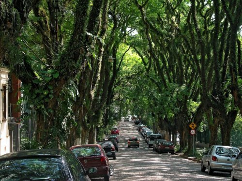Зеленая улица в Бразилии