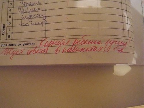 Смешные учительские записи в школьном дневнике