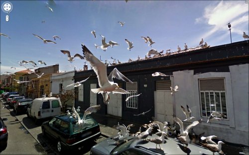 Прикольные фото с Google Street View