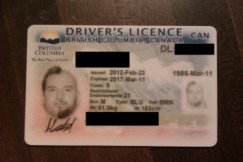 Как я решил обновить водительские права