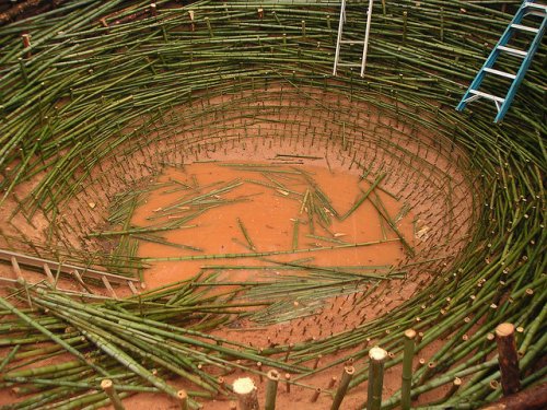 Гигантское гнездо Нильса-Удо