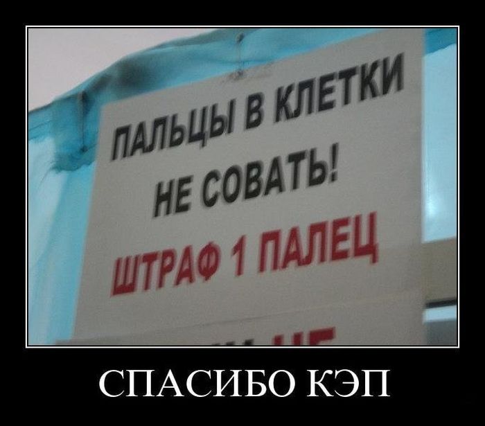 Теперь включайся. Спасибо кэп демотиваторы. Смешные демотиваторы кэп. Спасибо Капитан очевидность очевидность. Капитан очевидность спасибо кэп.