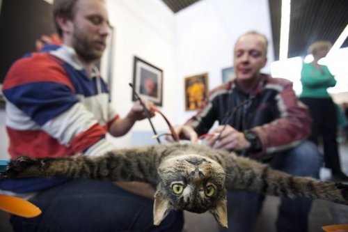 Голландец сделал вертолет из чучела своего кота