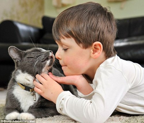 Кот помог больному мальчику