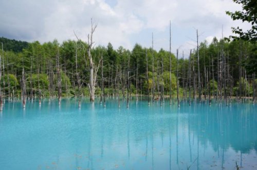 Удивительный "Синий пруд" в Японии