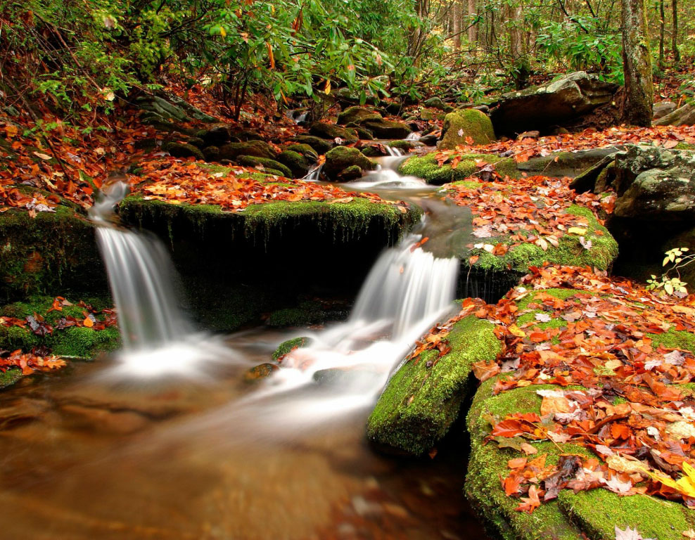 Ото красивых. Осенний водопад. Живая природа водопады. Осенний ручей. Красивые пейзажи с водопадами.