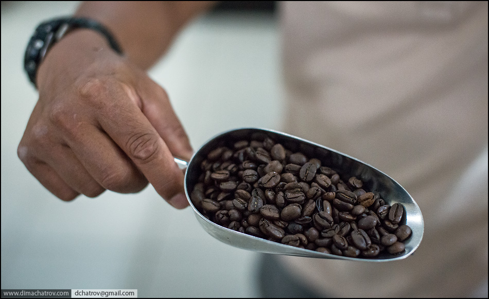Самый дорогой кофе в мире цена. Самый дорогой кофе. Самый дорогой зерновой кофе. Кофейный мир. Самый дорогой кофе в мире.