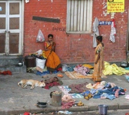 Только в Индии (40 фото)