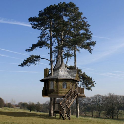 Удивительные дома на деревьях