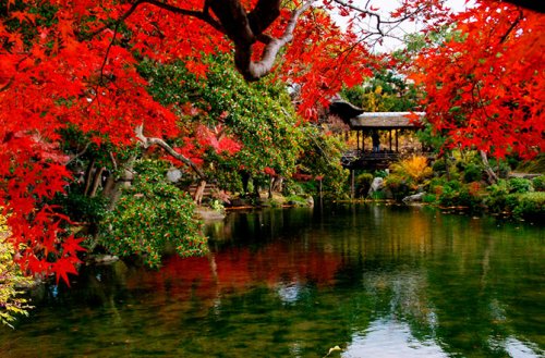 Киото, окрашенный осенней листвой