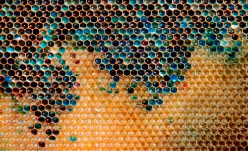 Неправильный мед в коммуне Рибовилль (Франция)