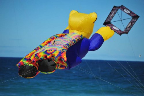 Фестиваль воздушных змеев на австралийском пляже Bondi Beach