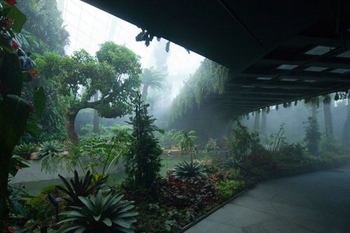 Лучшим зданием в мире стали Зимние сады в Сингапуре