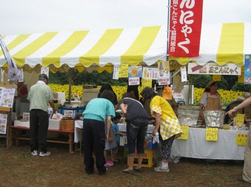 Фестиваль Подсолнухов в Заме, Япония