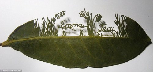 Удивительные сюжеты художника Лоренцо Силвы, вырезанные в листьях