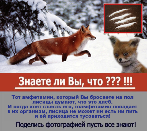 Чучело Сидящего Лиса - популярный мем Рунета
