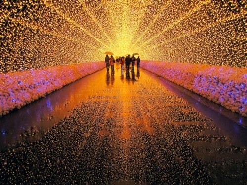 Восхитительные световые композиции на Зимнем фестивале света в Японии
