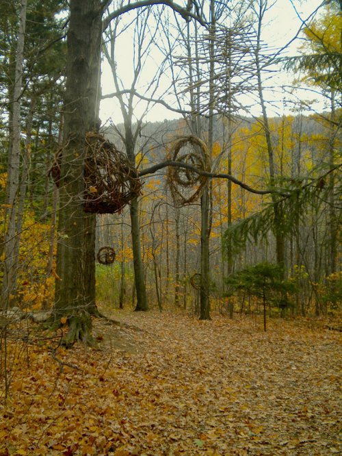 Лучшие работы ландшафтного искусства на конкурсе Land Art Mont-Saint-Hilaire 2012 в Канаде
