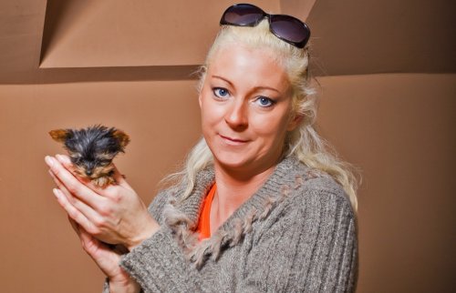 Мэйси – самая маленькая собачка в Польше