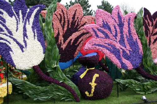 Завораживающая красота цветочных инсталляций на параде цветов в Голландии