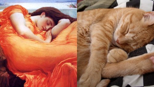 Любовь к котам и живописи обязательна
