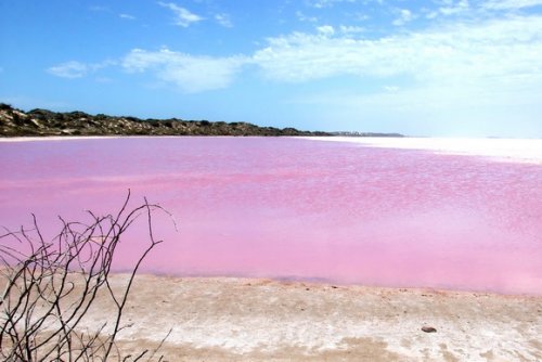 8 самых потрясающих в мире розовых озёр