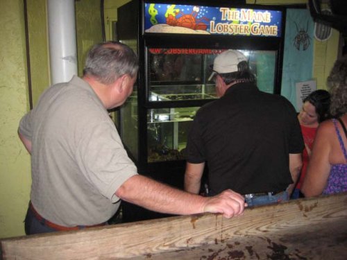 Игровые автоматы с живыми омарами и золотыми рыбками