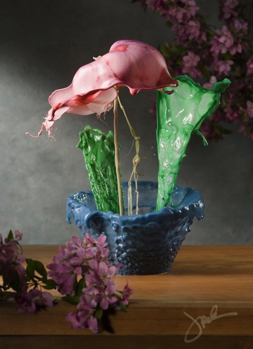 Удивительные "жидкие цветы", созданные Джеком Лонгом