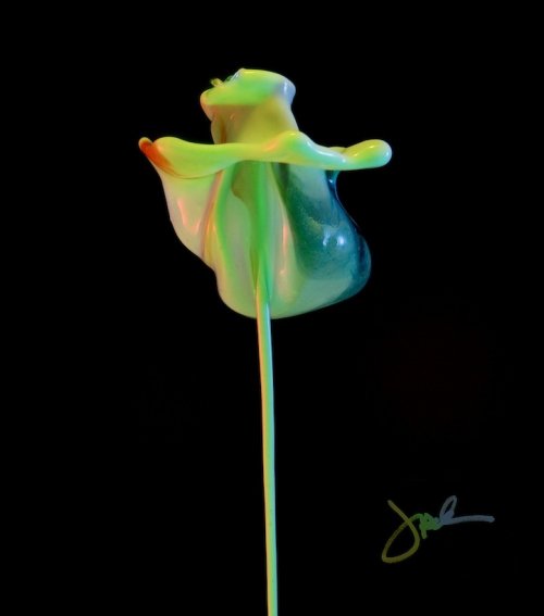 Удивительные "жидкие цветы", созданные Джеком Лонгом