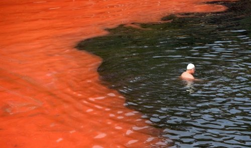 Красная морская вода у сиднейского побережья