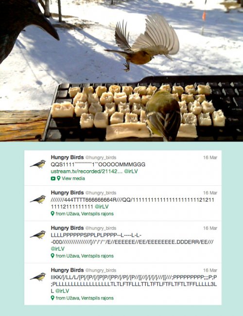 Птицы в Твиттере