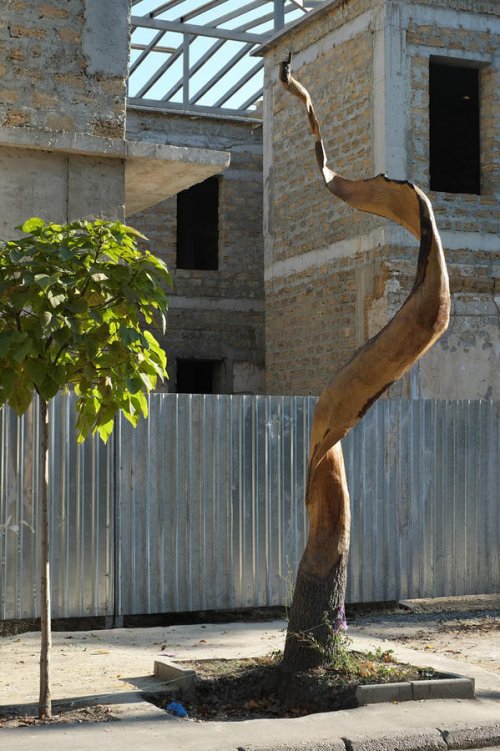 Скульптуры из деревьев на улицах Симферополя