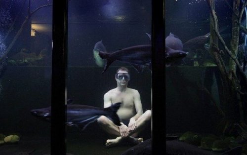 Необычный аквариум с необычными рыбками