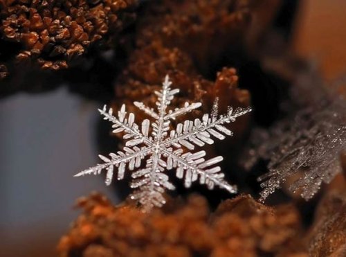 Удивительные макрофотографии ледяных образований и снежинок, сделанные Андреем Осокиным